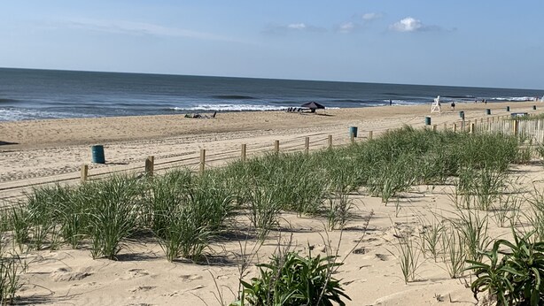 A beach with a wooden fence, grassy dunes, and the ocean in the background.