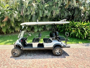 A golf cart parked on a paved area with a lush green background. - FRONT ROW PENTHOUSE - Amazing views -  Premier/Cook/Golf Cart (Punta De Mita)