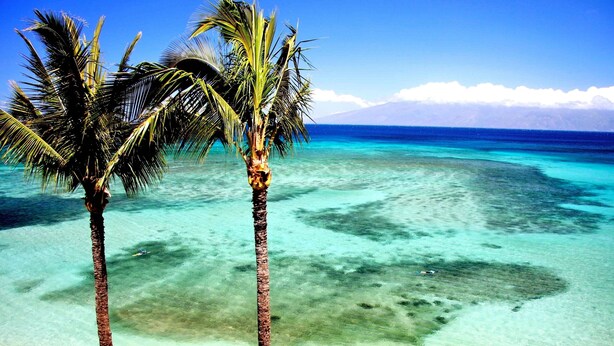 A beach with clear turquoise water and two palm trees. -  3 Bedroom, 3 Bath Oceanfront Condo With Amazing Views of Molakai and Lanai  (Lahaina)