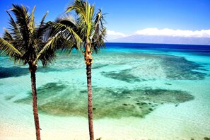 A beach with clear turquoise water and two palm trees.