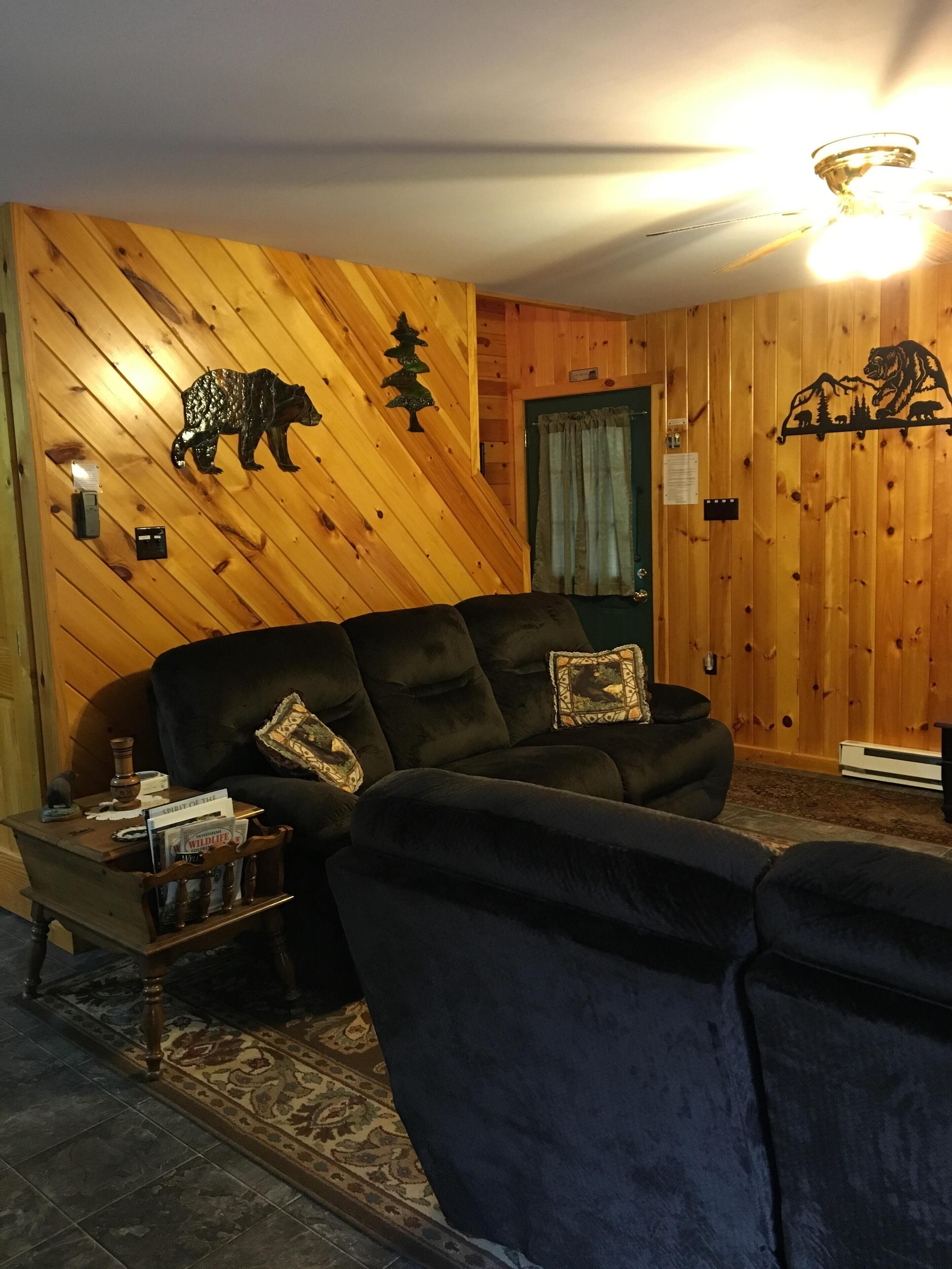 Peaceful family vacation getaway cabin near PA Grand Canyon