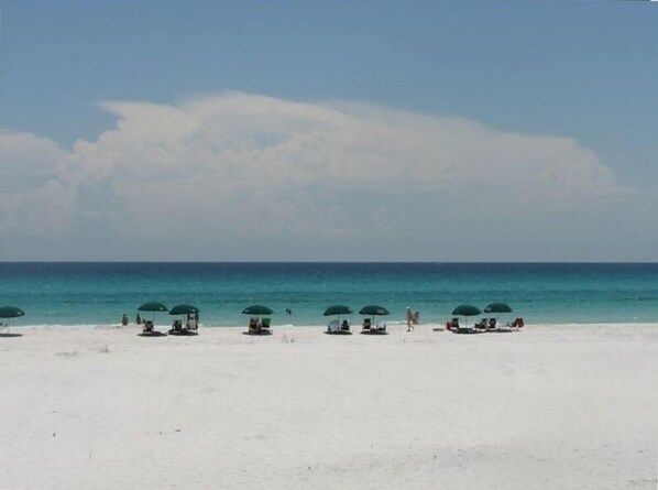 Enjoy a serene beach experience with umbrellas providing shade on the wide, open beach.