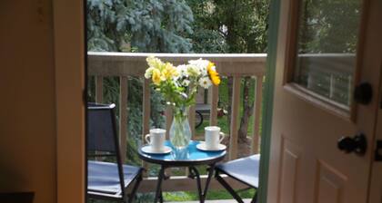 Great location in town! Clean, New, Adorable condo close to everything.