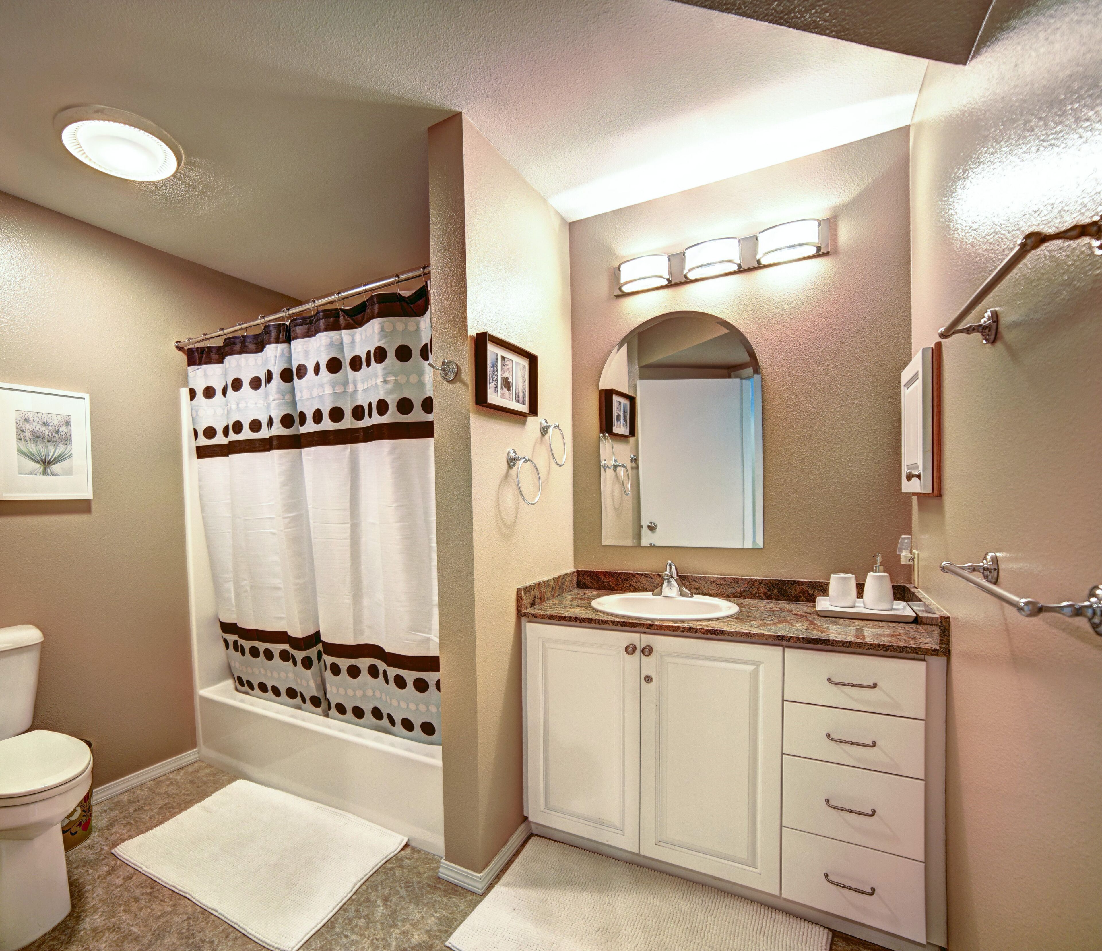 Wander into the Wonderland