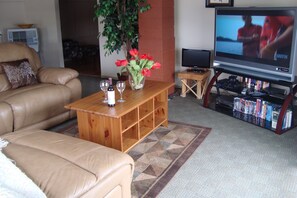 TV connectée, cheminée, jeux vidéo, lecteur de DVD