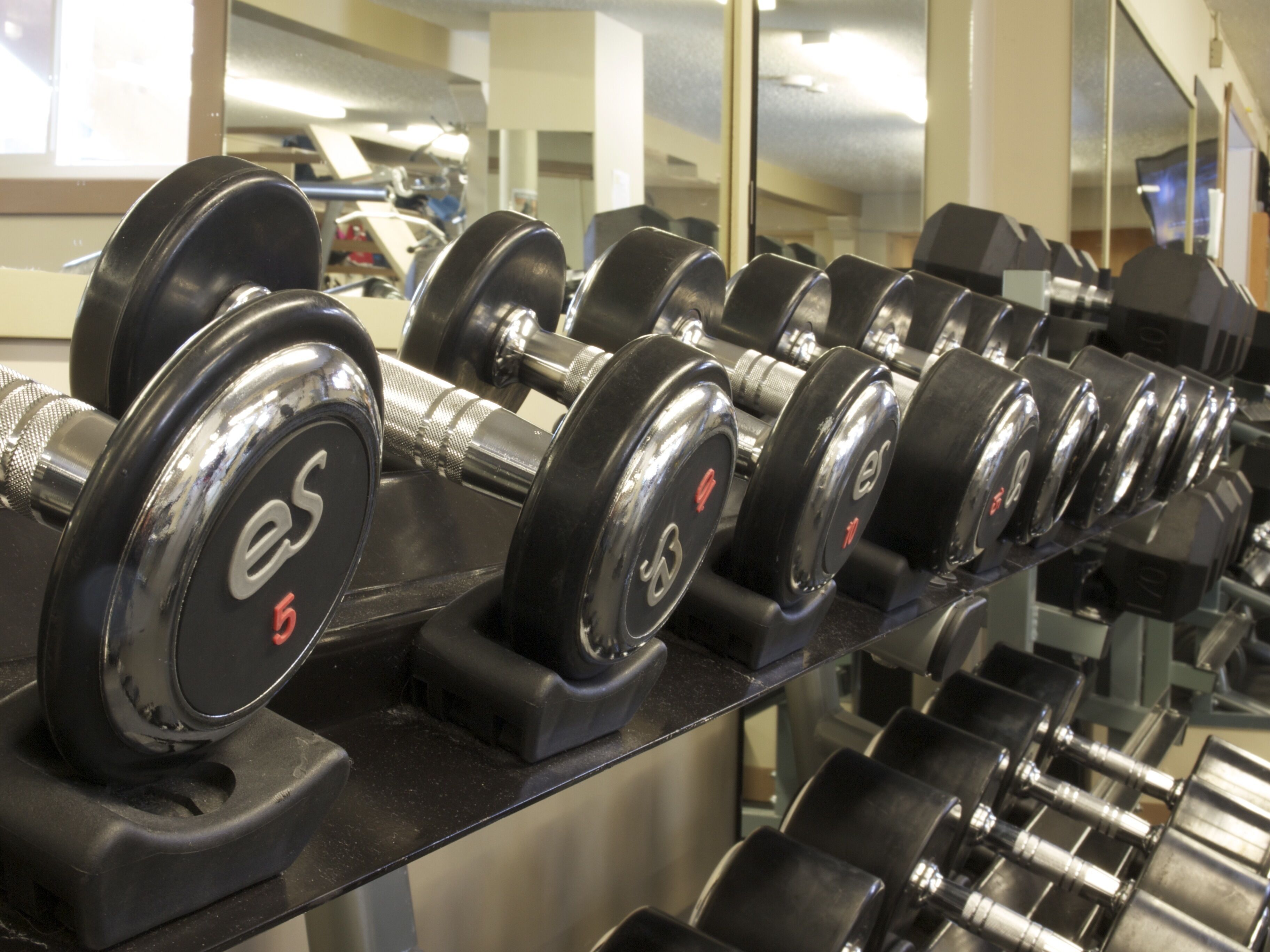 A row of dumbbells on a rack in a gym.