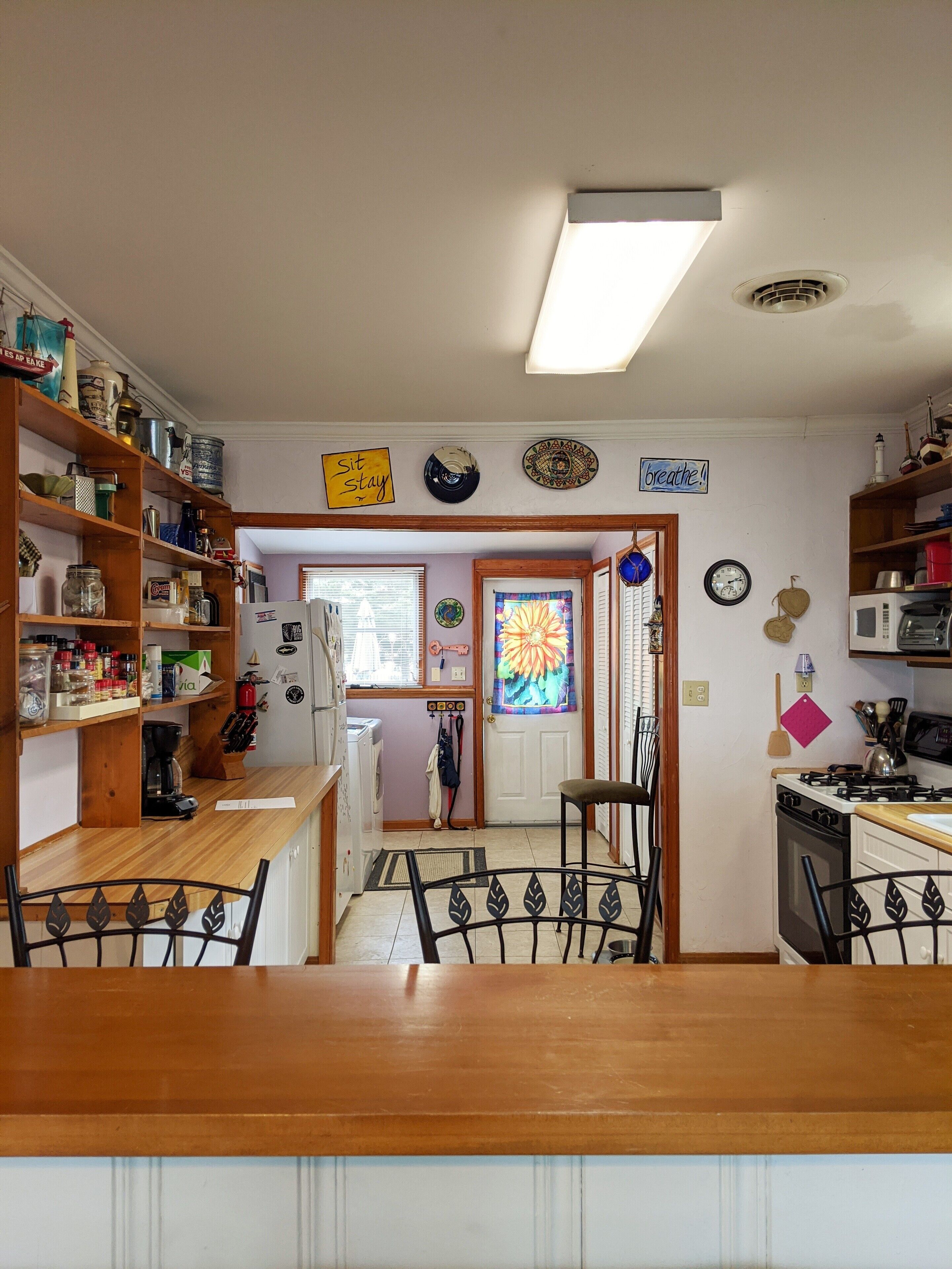 Bring the Dog to Our Pet-Friendly Cottage at Prime Hook Beach