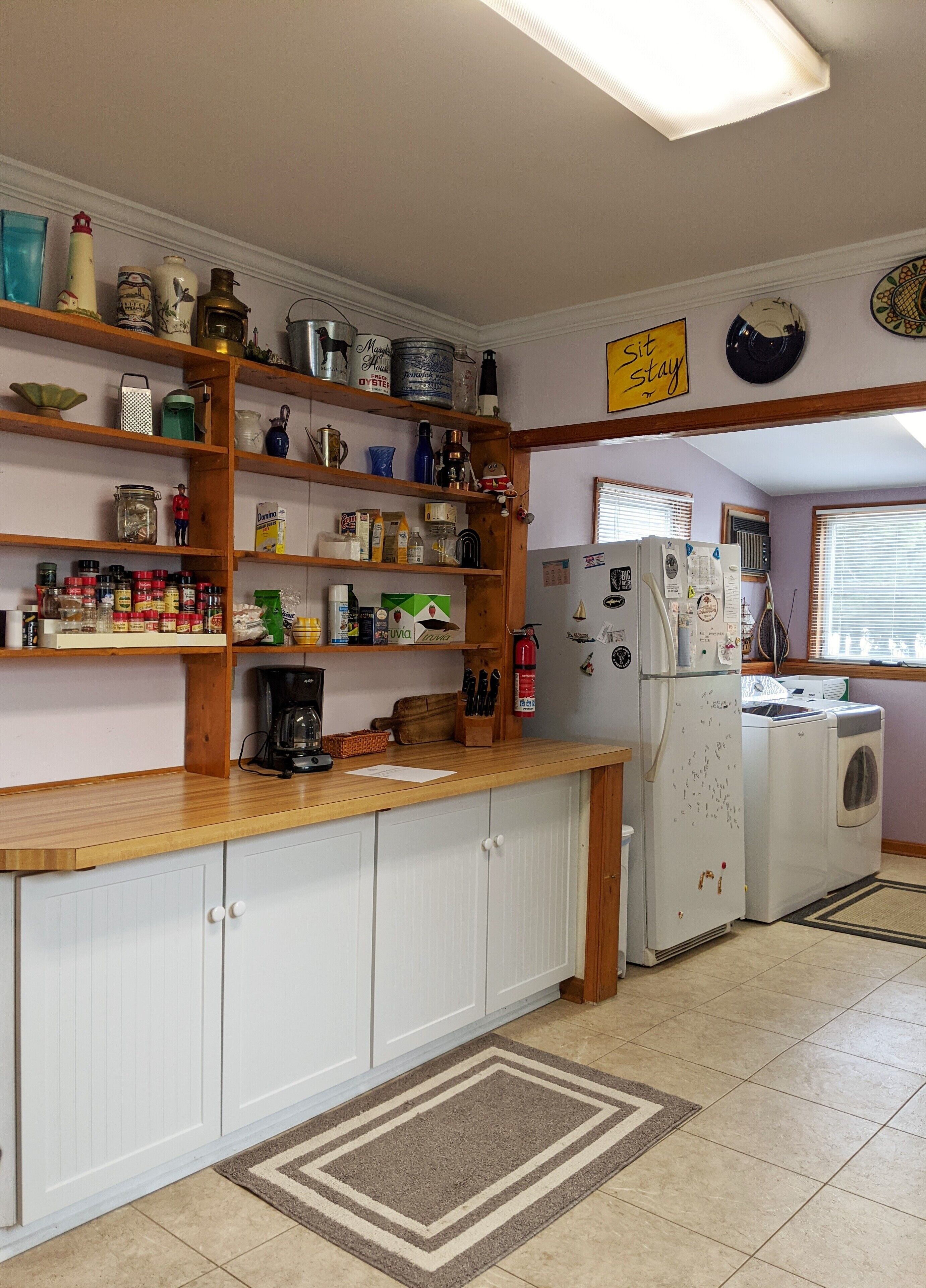 Bring the Dog to Our Pet-Friendly Cottage at Prime Hook Beach