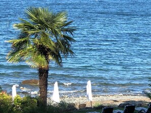 On the beach, sun loungers - Beachfront Cozy Duplex, Hot Tub BBQ  Adult Only clam/oyster kayak rental (Qualicum Beach)