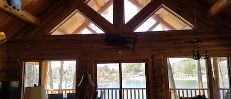 Télévision, cheminée, lecteur de DVD, table de tennis de table