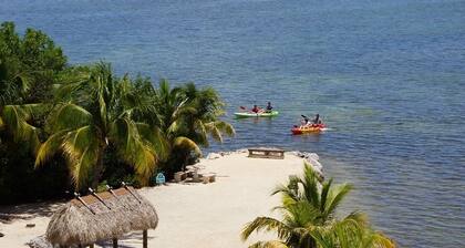 Oceanfront! Oceanfront! Oceanfront!