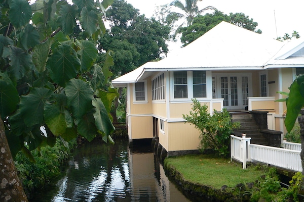 Home built over brackish pond, full of fish and turtles.