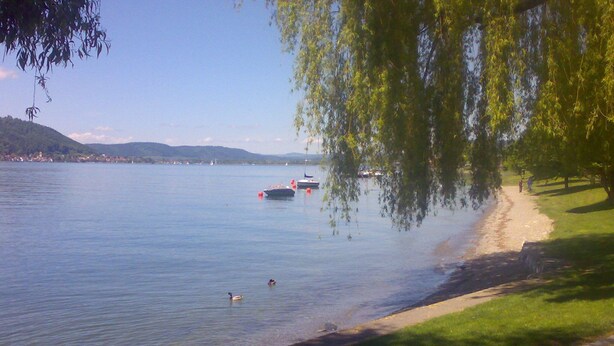 Ein ruhiger See mit Booten, einem grasbewachsenen Ufer und einem von Bäumen gesäumten Weg.