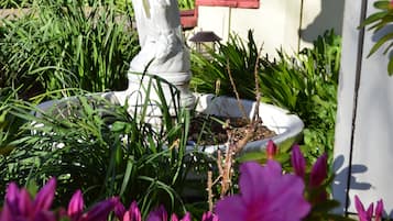 DĂ©tail de lâextĂ©rieur