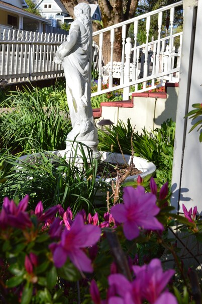 A Victorian Rose, DOWNTOWN, hot tub, man cave,couples, families & groups welcome