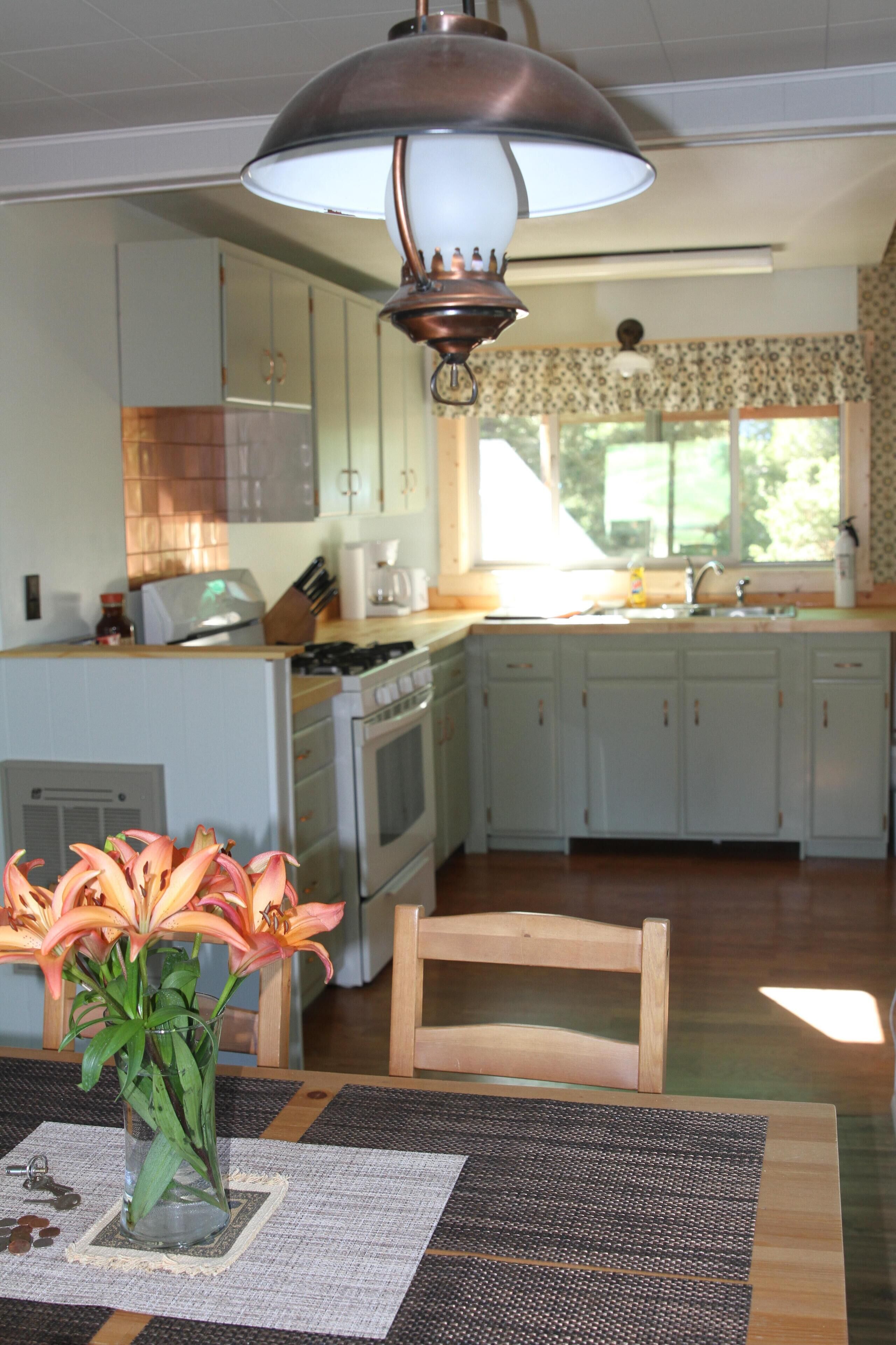 Cozy Cabin On The Creek 30 Miles From The East Entrance Of Yellowstone 