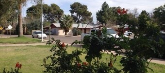 Unique urban habitat near ASU/downtown Tempe 