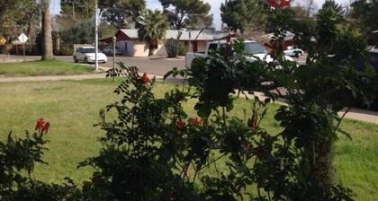 Unique urban habitat near ASU/downtown Tempe