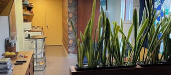 Unique urban habitat near ASU/downtown Tempe 