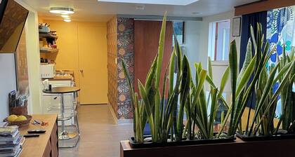 Unique urban habitat near ASU/downtown Tempe