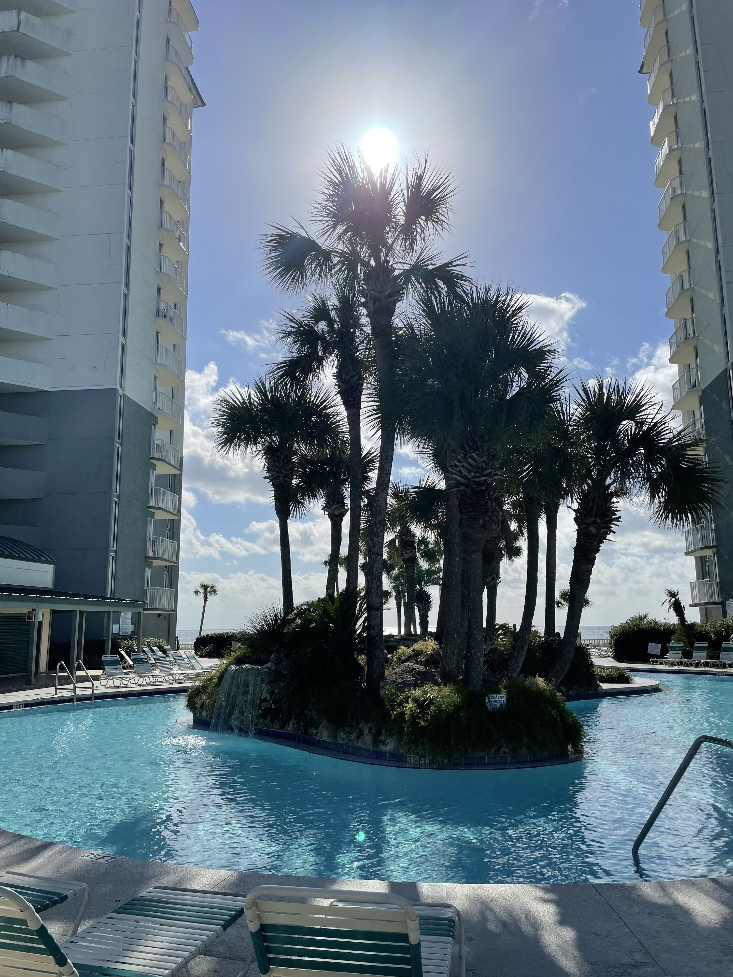 A pool area with lounge chairs, palm trees, and a clear sky.