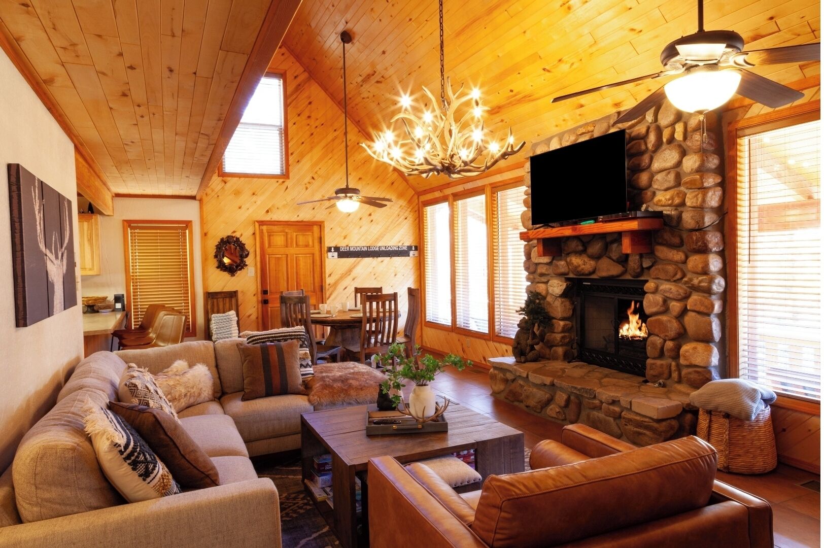 TV, fireplace, DVD player