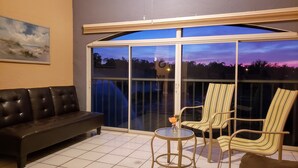 A living room with a black leather sofa, a glass table with chairs, and a large sliding glass door leading to an outdoor area with a view of the sky and trees. - Centrally Located in Beautiful Naples (NAPLES)