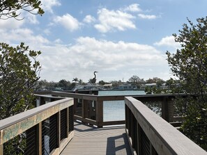 A wooden boardwalk leading to a dock with a view of a marina and houses in the background.