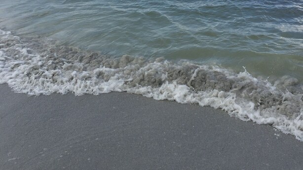 Une plage où les vagues viennent doucement lécher le rivage sous un ciel dégagé.