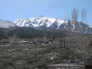 Billede uden beskrivelse, 4 af 14, knap