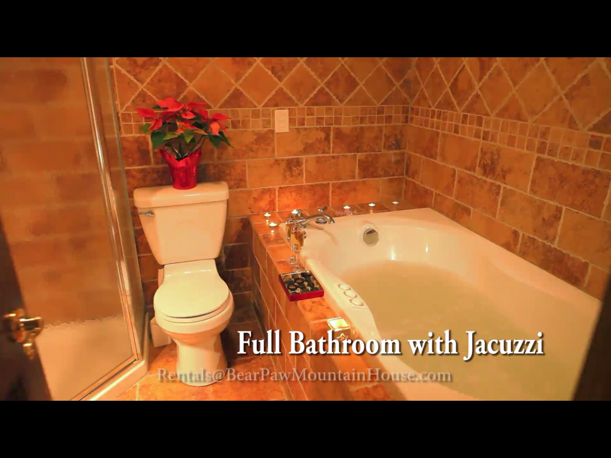 Hunter/Windham Area - Winter Rental