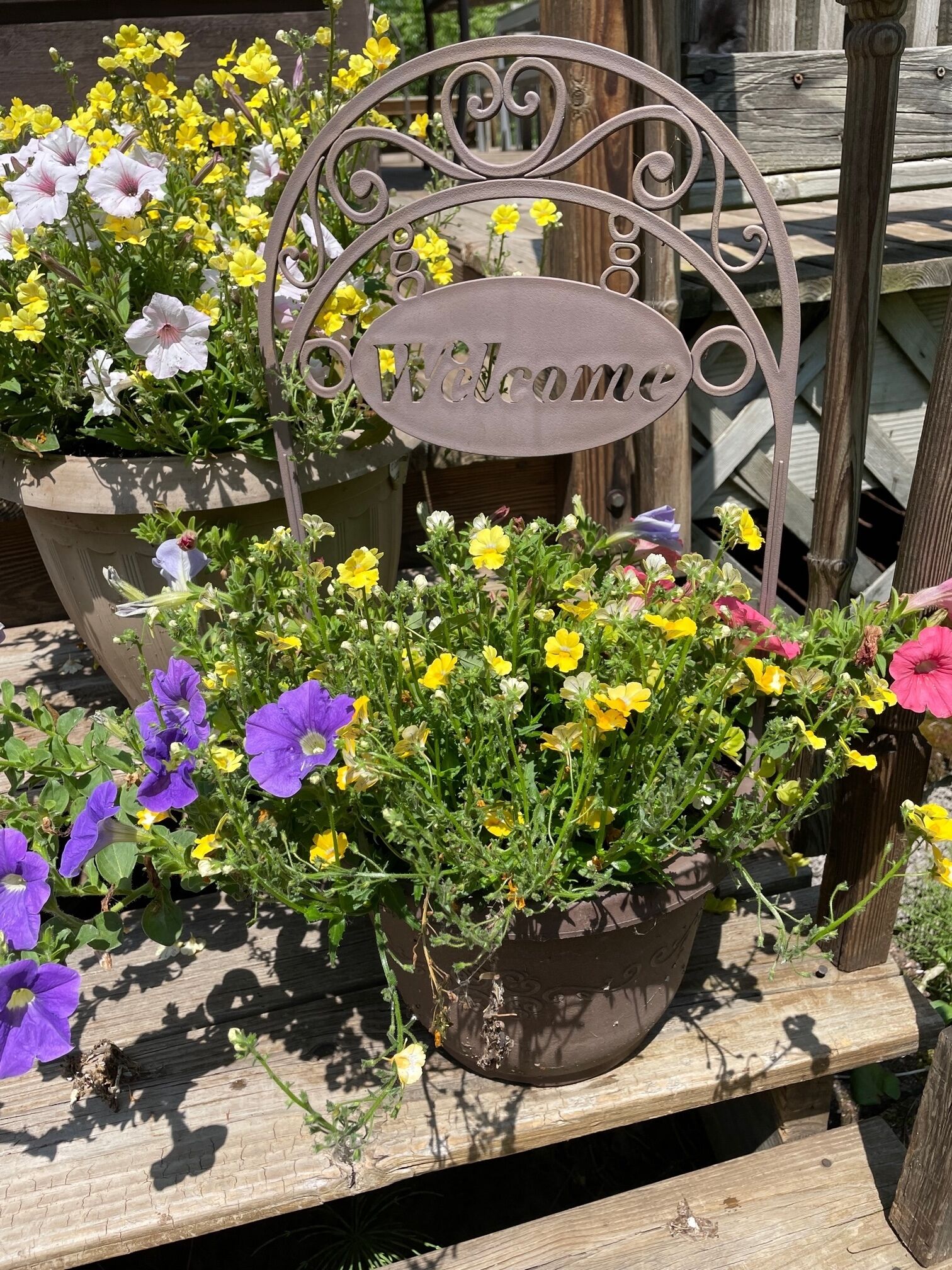  Cozy Welcoming Laughing Whitefish River Cabin Ready For Your Visit