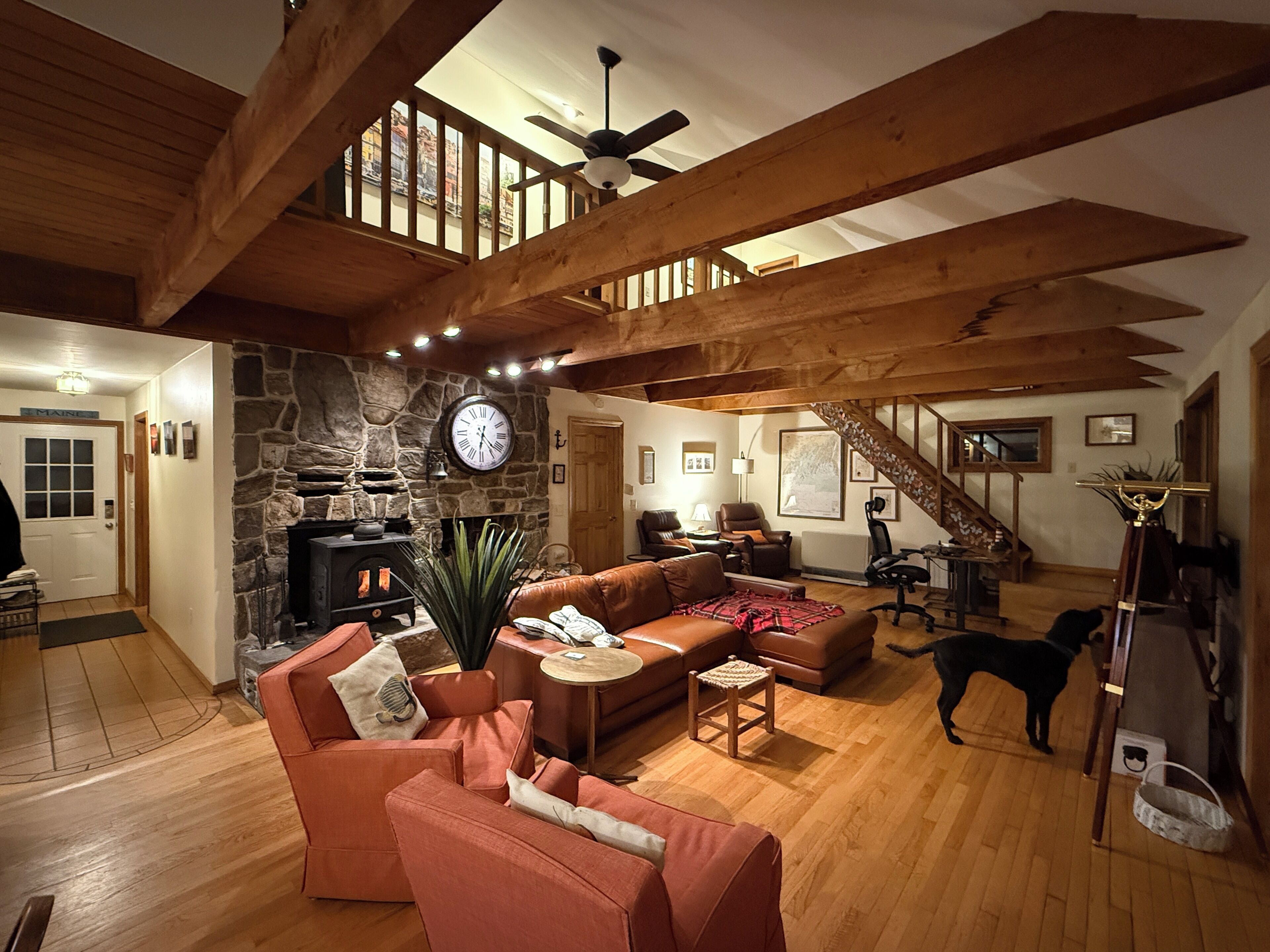 Smart TV, fireplace, video games, books