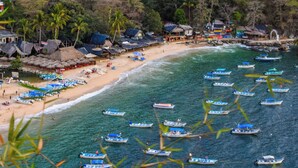A beach with thatched-roof huts and a row of boats on the water.