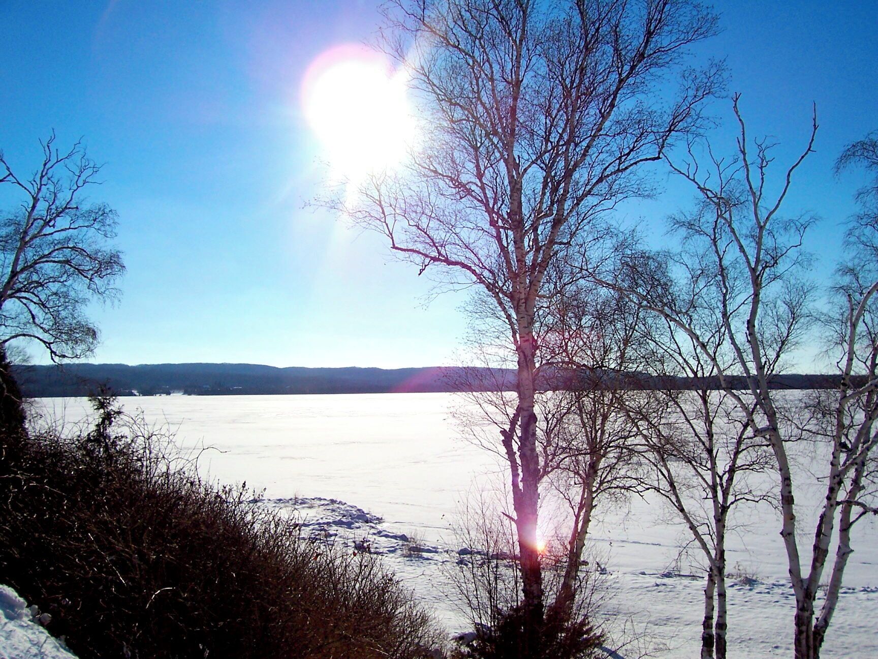 A snowy landscape with bare trees and a clear sky.