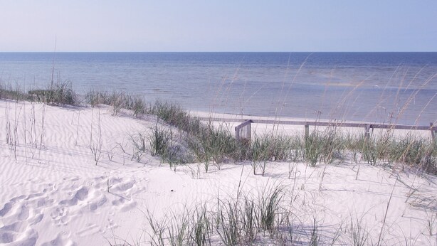 A beach with a wooden walkway and sand dunes. - Natural High-Amazing Beach Getaway-Privacy, Easy Access, Kayaking, Boating (Cedar Island)