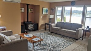 TV connectée, cheminée, lecteur de DVD, livres