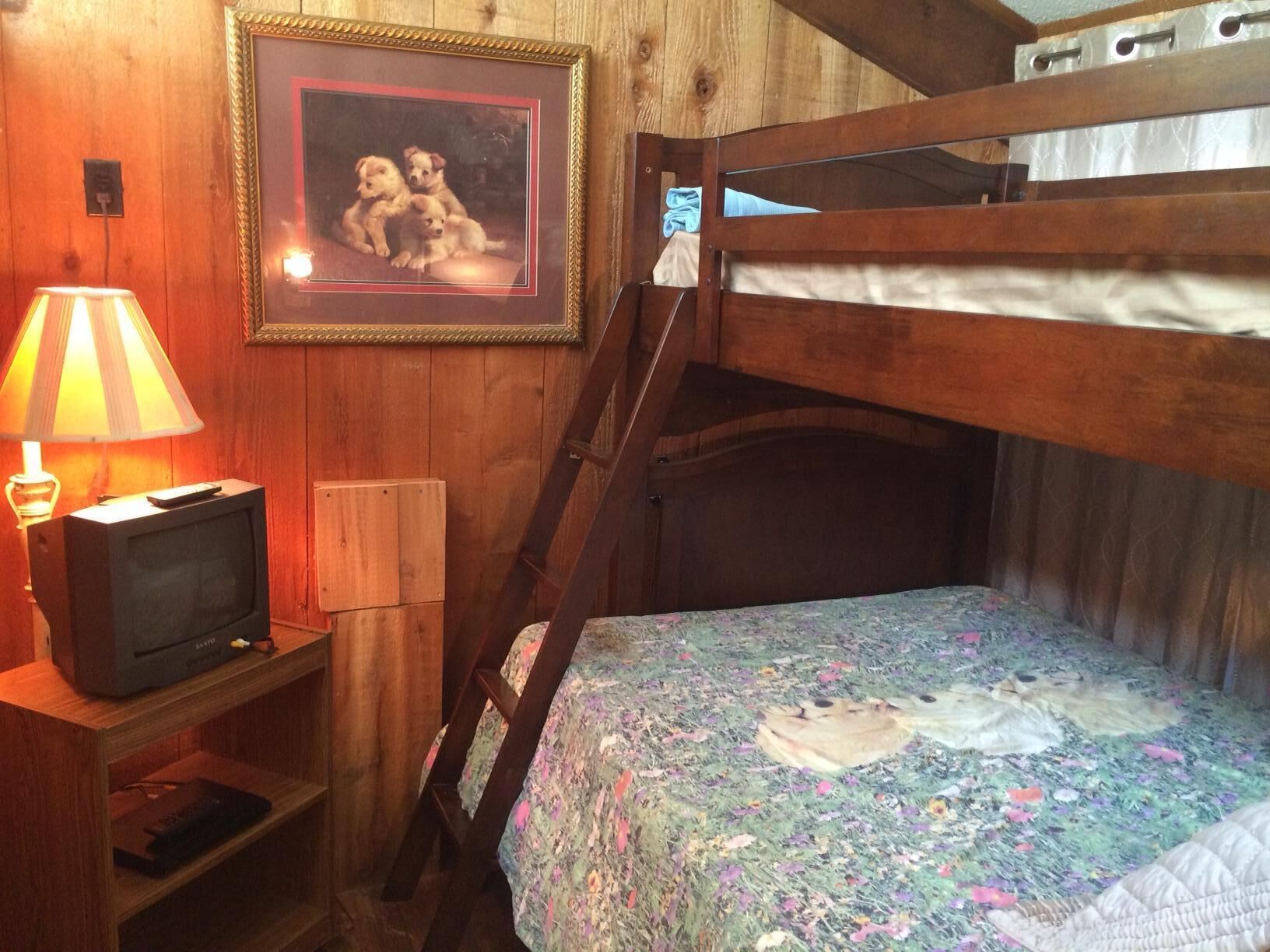 Multi-level Cabin With Private Dock On Secluded Cove, Sleeps 8 To 9