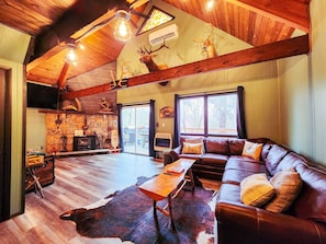 Smart TV, chimenea y reproductor de DVD 