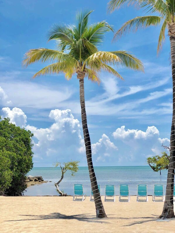 Beach nearby, sun-loungers, beach towels
