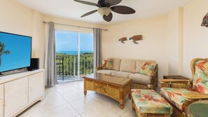 Smart TV, books, offices