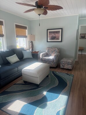 Smart TV, DVD player, books, video library