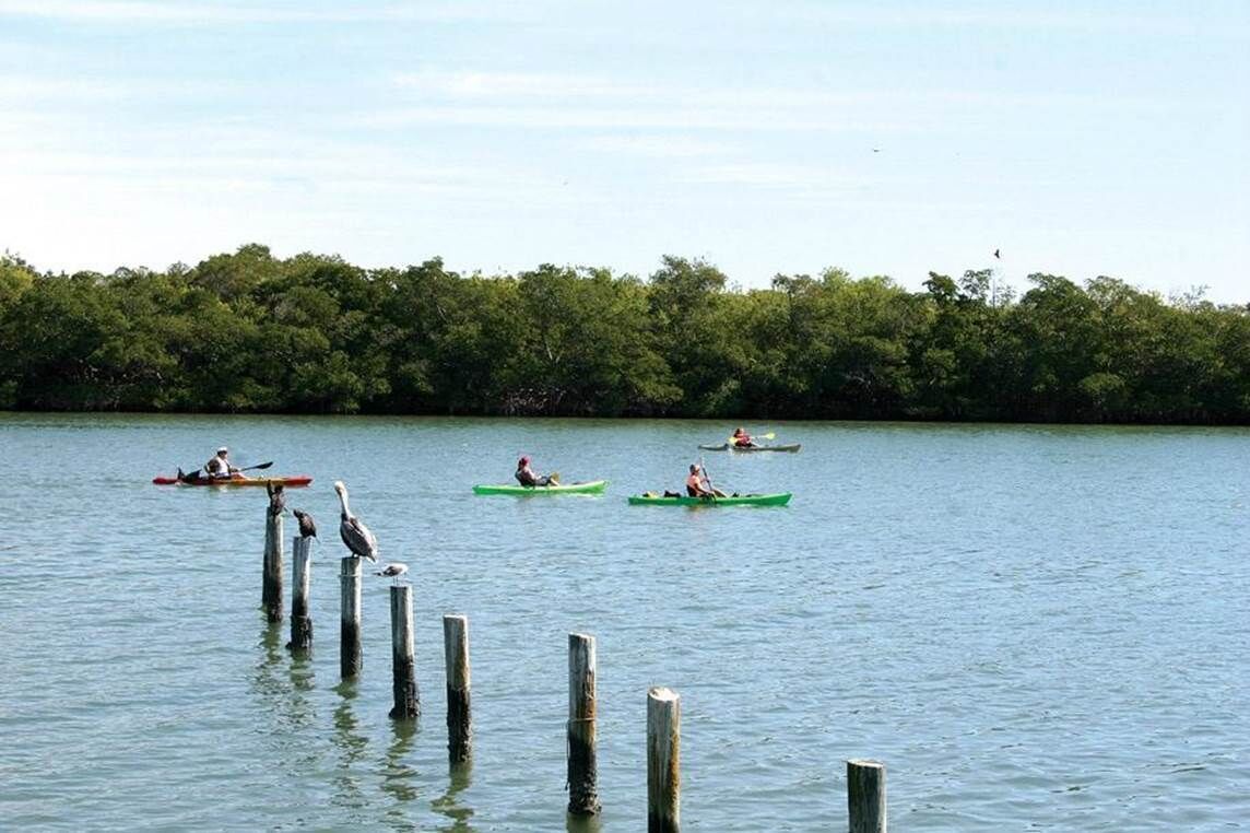 A calm lake with kayaks and canoes, surrounded by dense trees.