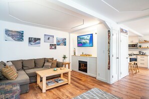TV connectée, cheminée, lecteur de DVD, livres