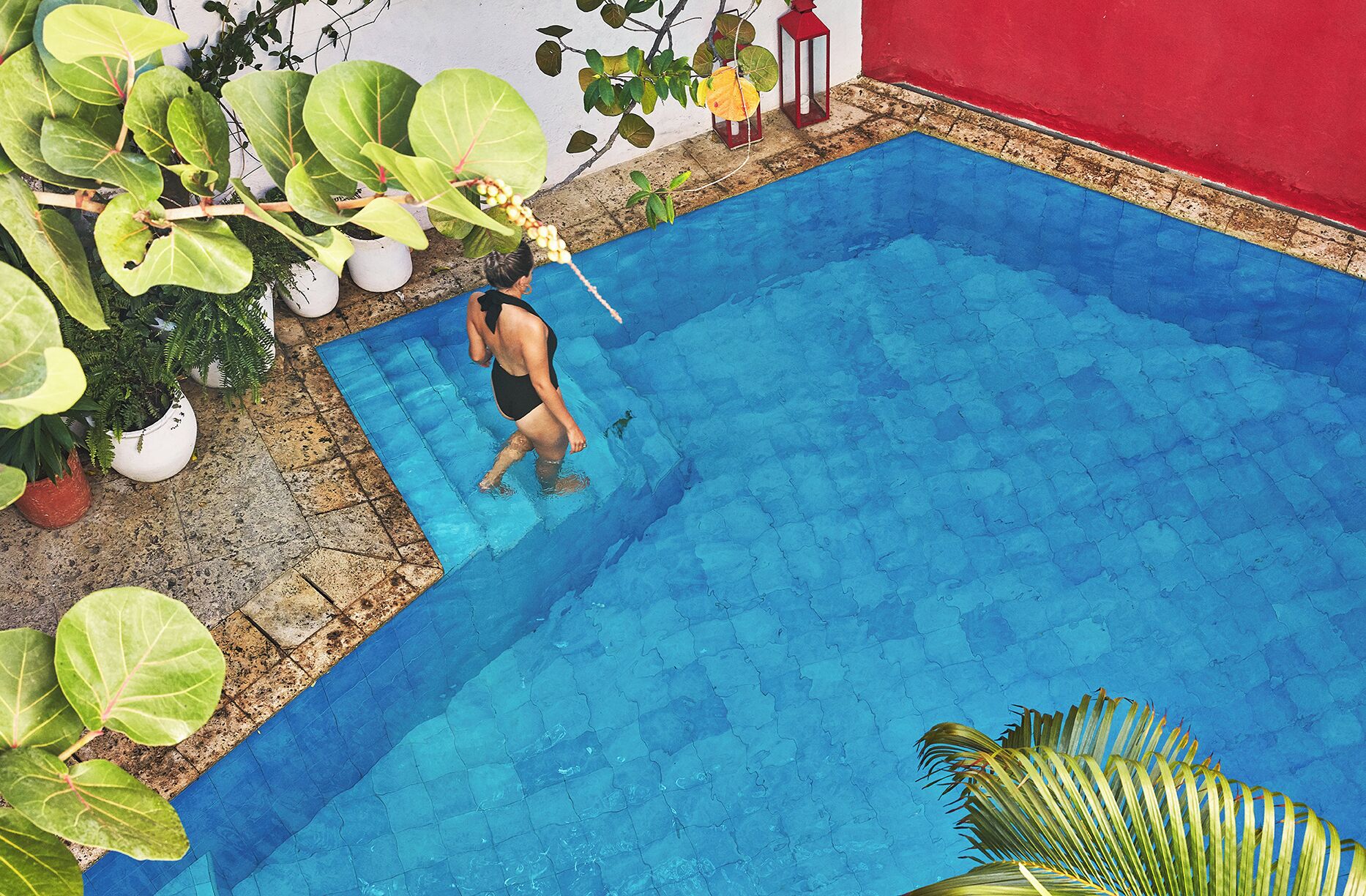 A swimming pool with a person in the water, surrounded by potted plants and a red wall.