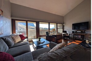 تلفزيون ذكي، مدفأة، مشغل دي في دي، كُتُب