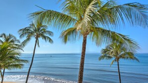 A beach with palm trees and a clear blue sky.