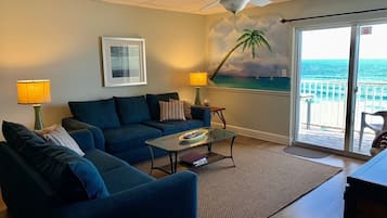 Smart TV, DVD player, books, video library