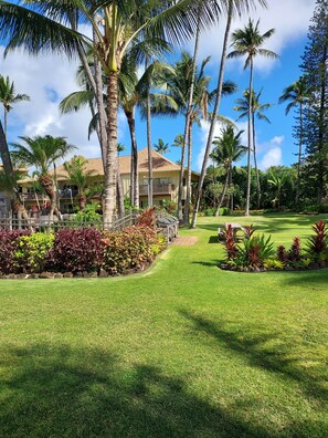 Overnattingsstedets uteområder