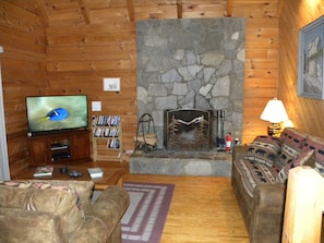 TV, fireplace, DVD player, music library